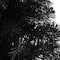 2ft. Pre-Lit Black Artificial Christmas Tree, Warm White LED Lights